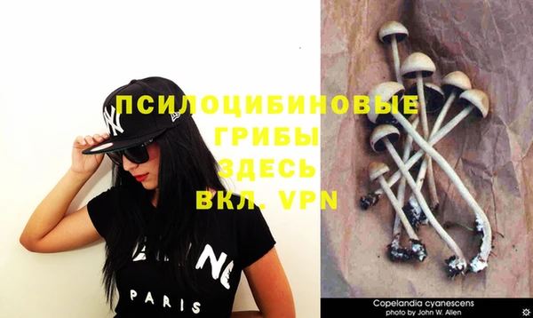 бошки Абаза